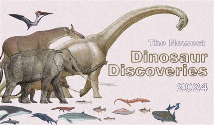 Insights &amp; Discoveries for the Andi5 Niche