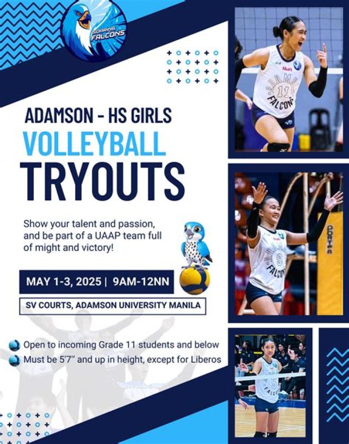 Insights And Discoveries For Volleyball Enthusiasts