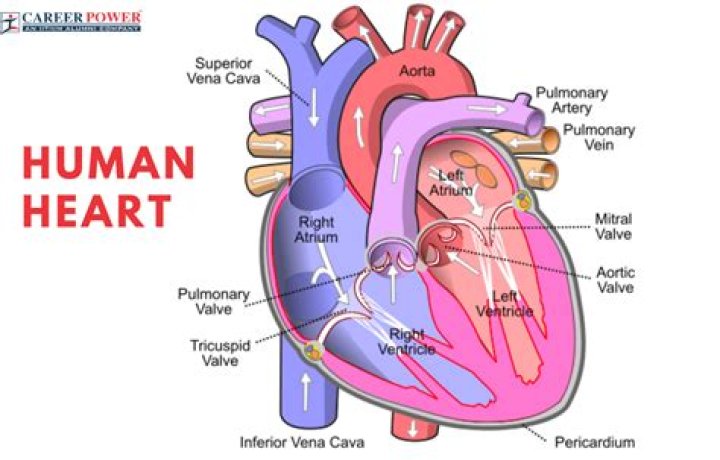 Is Tony Khan's Heart Taken?