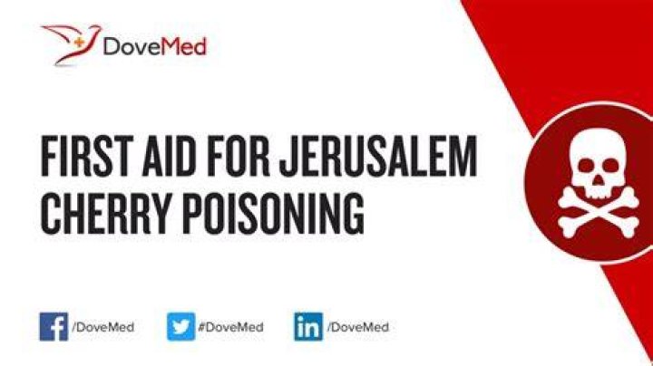 Jerusalem cherry poisoning