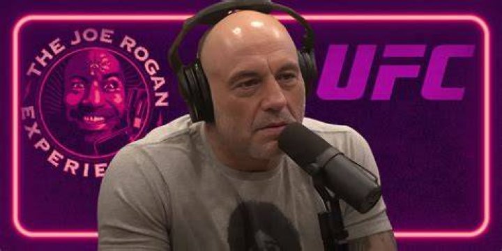 Joe Rogan's Family Life: A Closer Look At Joe Rogan And His Kids