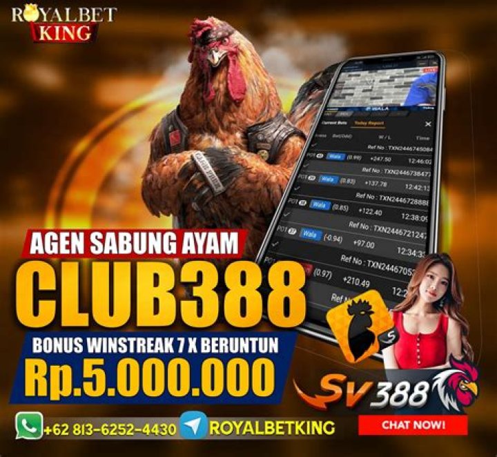 Kelebihan dan Kelemahan Penyelenggaraan Agen Sabung Ayam SV388, Awalnya Tradisional Lalu ke Dunia Digital