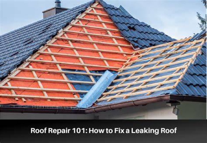 leak roof repair-Norfolk, VA