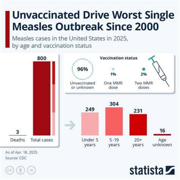 Lisa Bonet's Unvaccinated Child: A Deep Dive Into Parenting Choices