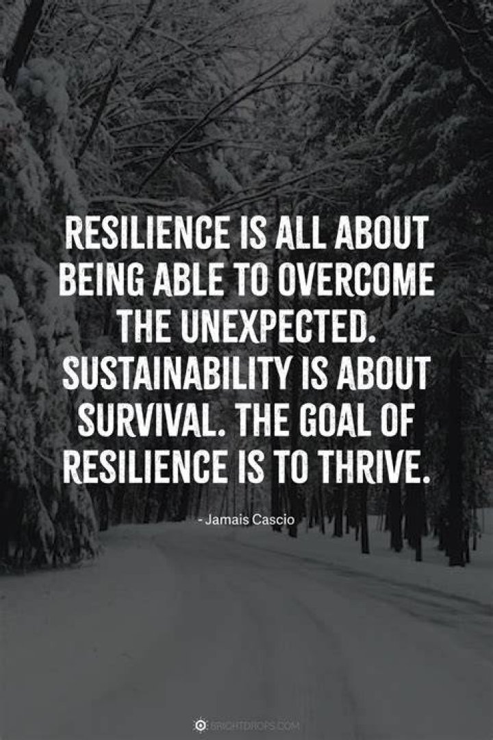 Lisa Garcia: A Journey Through Passion And Resilience