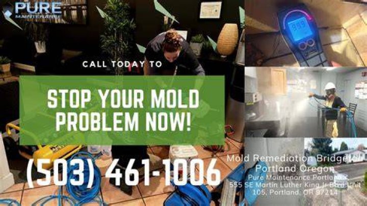Local Mold Removal Experts Portland Oregon