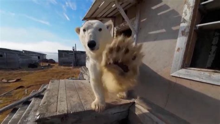 Logging in to the Polar Cloud
