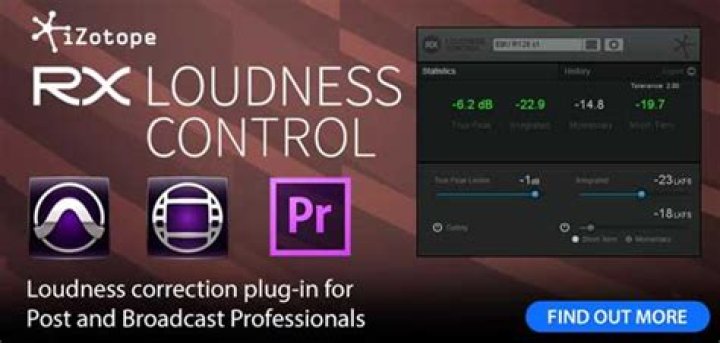 Loudness Control - RX 9 Help