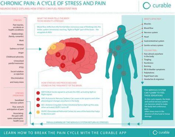 Managing Chronic Pain with Infrared Saunas: What the Research Says