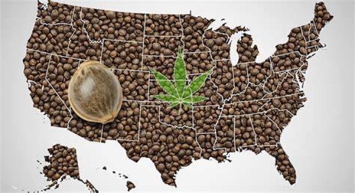 Marijuana Seeds Legal Missouri