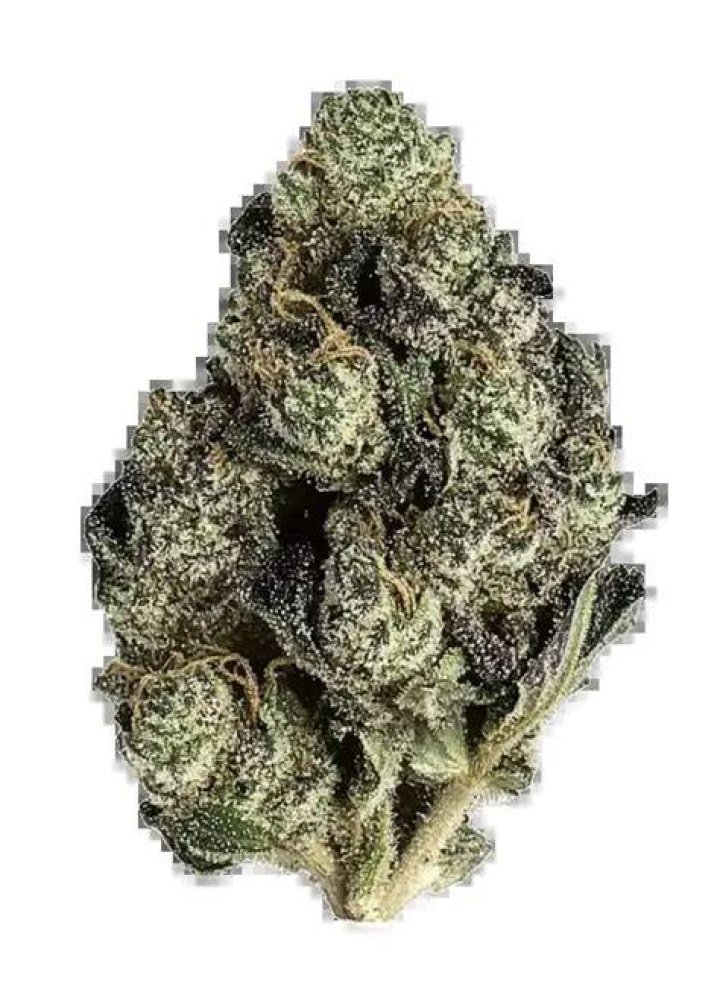 Marijuana Seeds Pure Sativa
