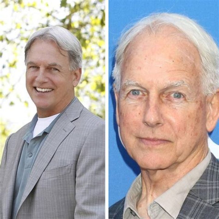 Mark Harmon Heute: What the Beloved Actor is Doing Now