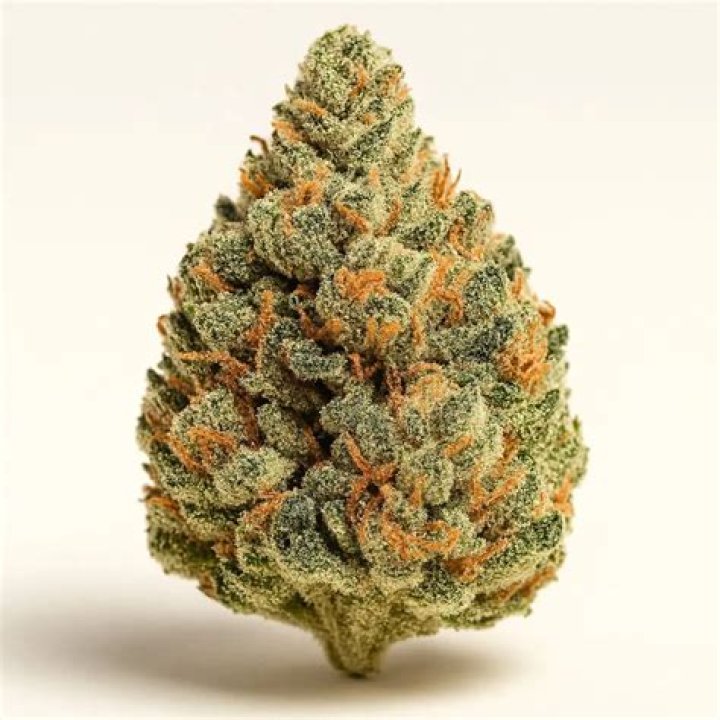 master kush weed strain - gushers weed strain