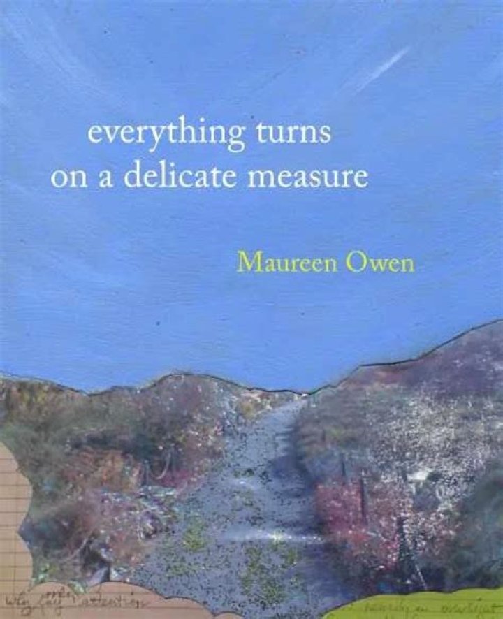 Maureen Owen - Books