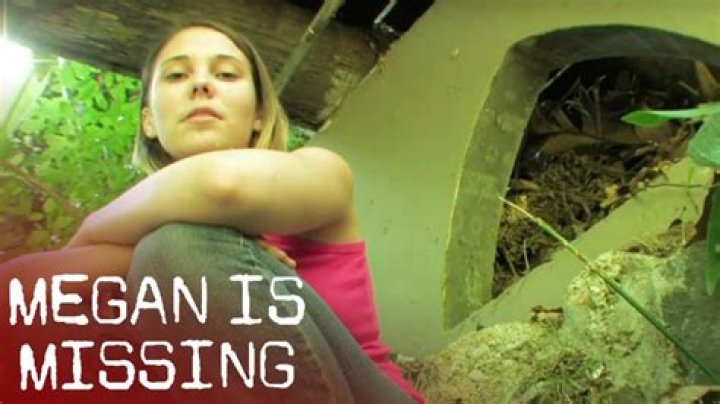 Megan Is Missing: The Barrel Scene That Shook Viewers