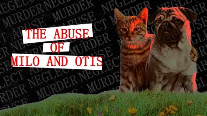 Milo And Otis Abuse Exposed