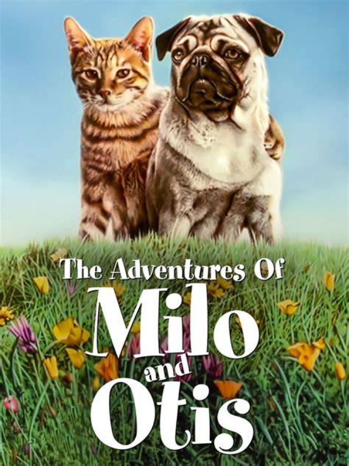 Milo And Otis Animal Abuse Scandal Exposed