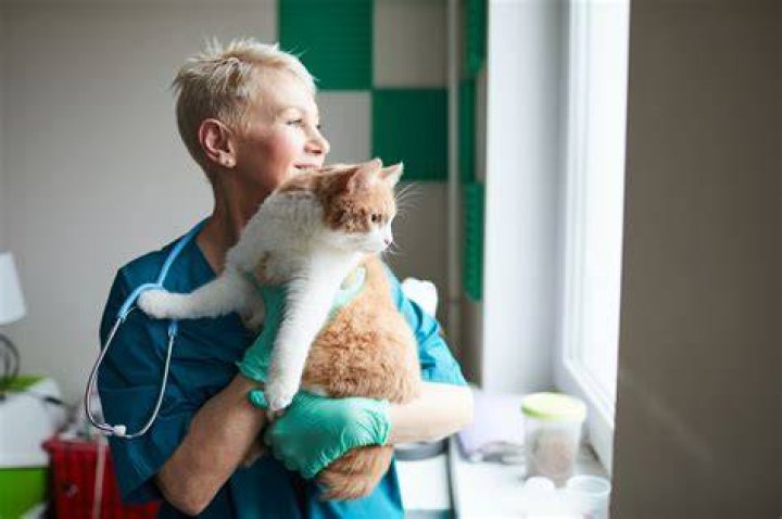 Ms C Rendina v Royston Veterinary Centre Ltd: 3307459/2020