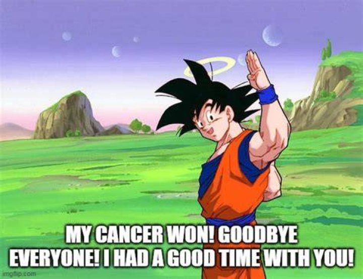My Cancer Won, Goodbye