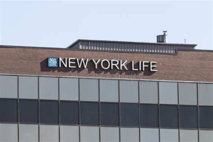 new york life insurance tampa fl