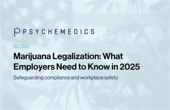 New York Marijuana Seeds Law