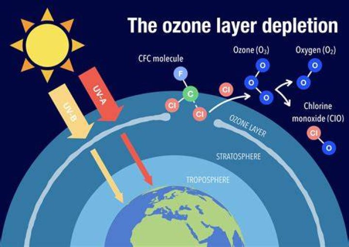 Options - Ozone 9 Help