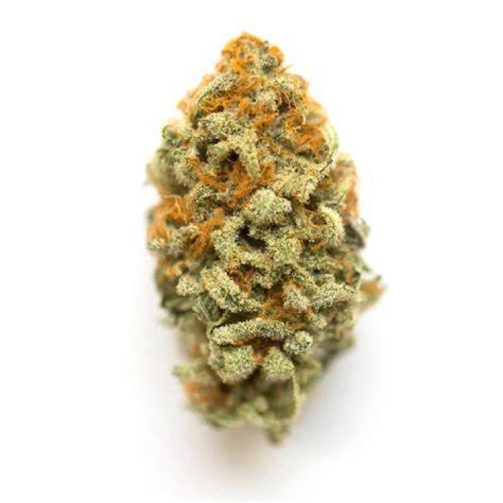 orange weed strain names - gushers weed strain