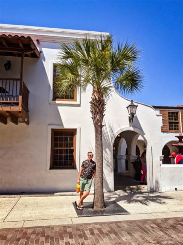 Palm Tree Trimming in St Augustine, FL