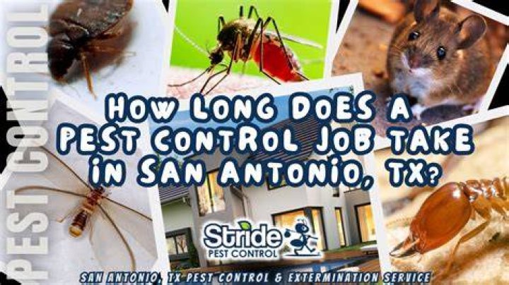 Pest Control San Antonio San Antonio Texas