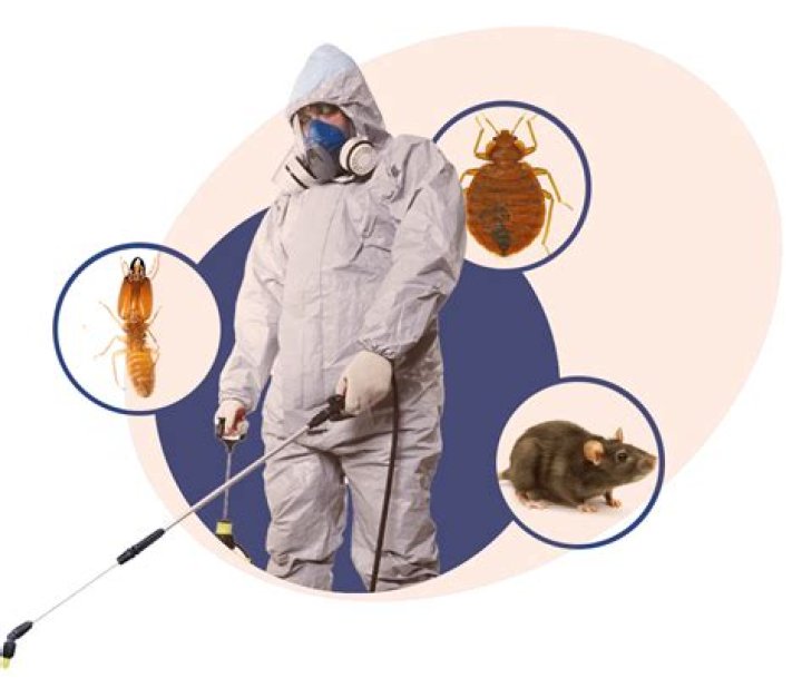pest control services