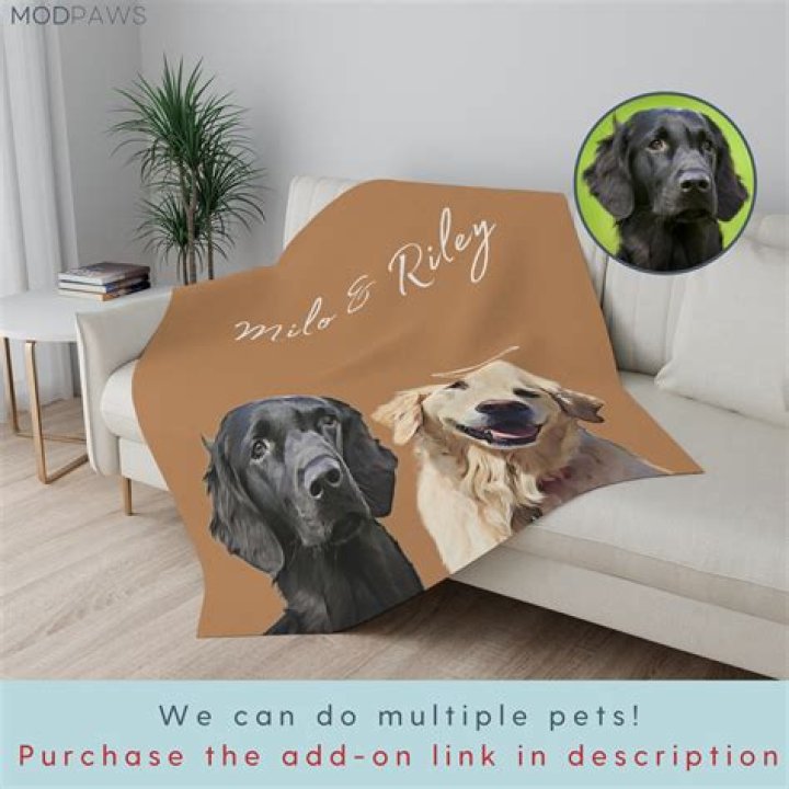 pet blanket picture - Custom Pet Blanket