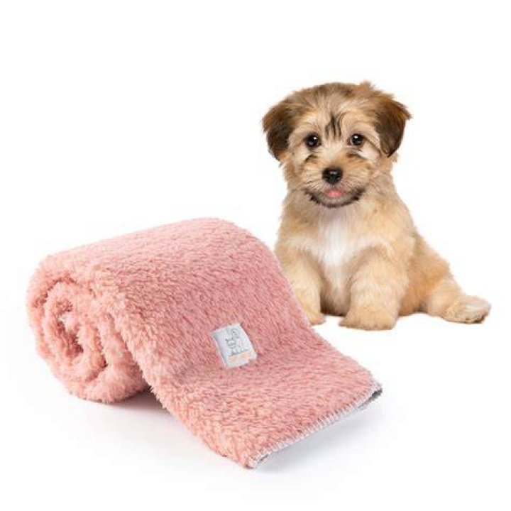 pet on phone - Pet Blanket