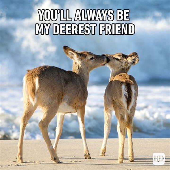 pictures to send to your best friend