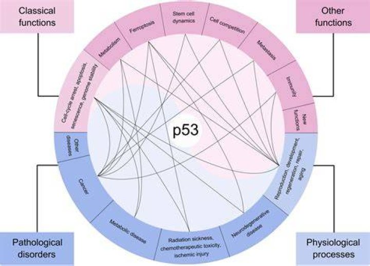 Podcast: Understanding the complexity of users' lives