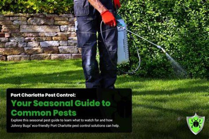port charlotte pest control