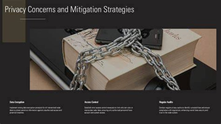 Privacy Concerns and Mitigation Strategies