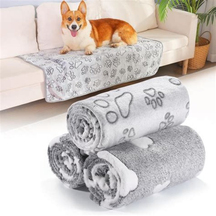 puppy blankets - Pet Blanket