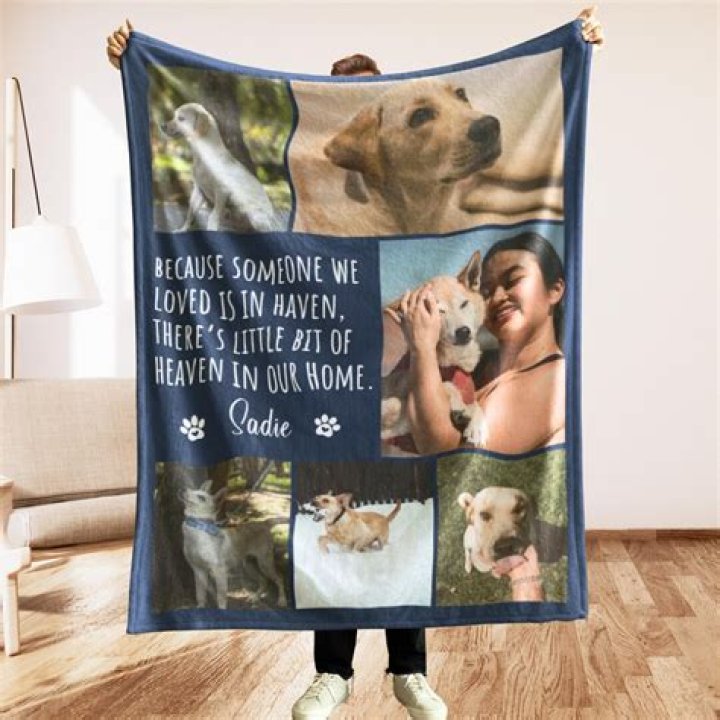 put dog on blanket - Custom Pet Blanket