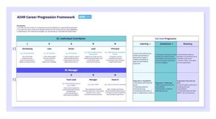 Ranks, Responsibilities, And Career Progression