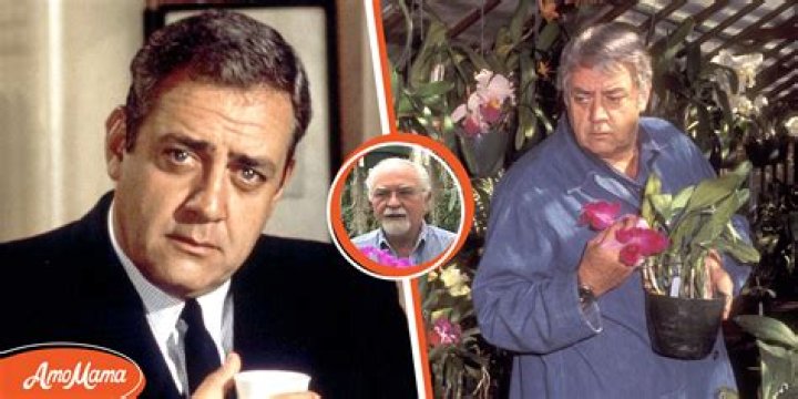 Raymond Burr And Isabella Ward: Uncovering Their Enduring Partnership