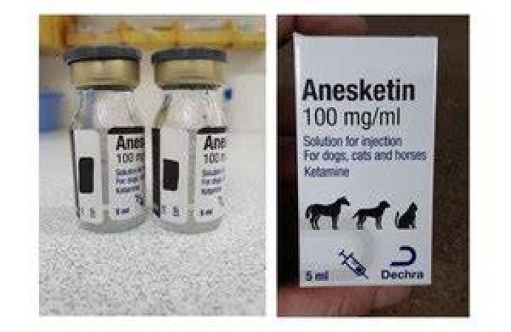 Recall alert for Anesketin 100 mg/ml 5ml Solution for Injection