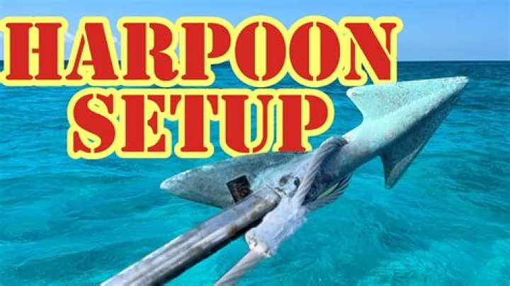 Roth acted as Co-Manager for Harpoon Therapeutics (HARP) in its $115M Follow-On