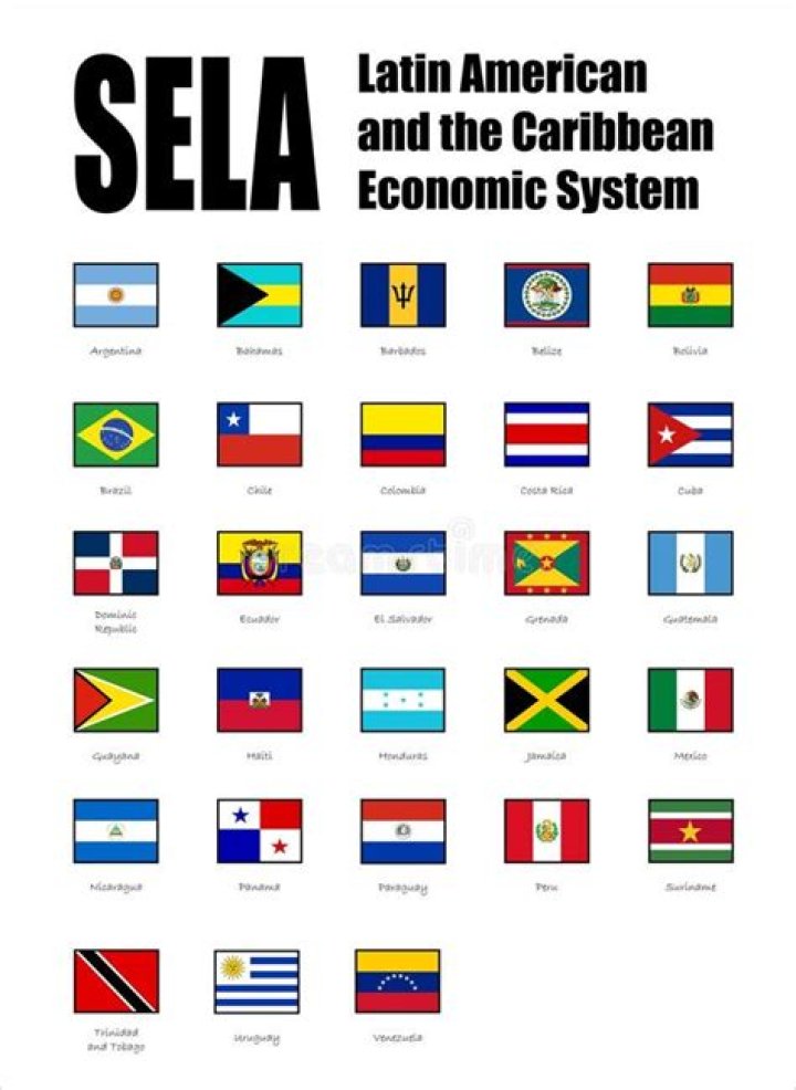 Sela Ward FBI: What This Search Term Reveals About Latin American Economic Cooperation (SELA)
