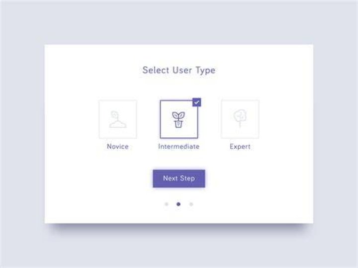 Select User Type