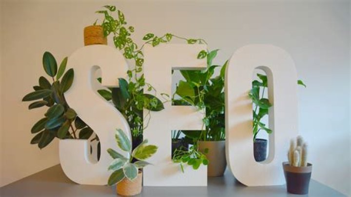 SEO Bureau Nederland