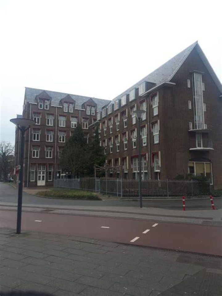 SEO Specialist Leiden