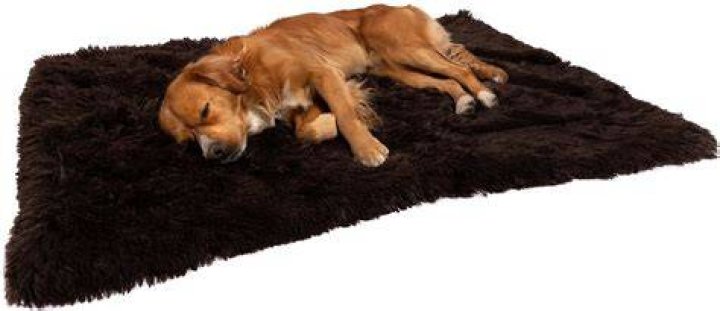 shane dawson pet canva - Print Your Oet Blanket
