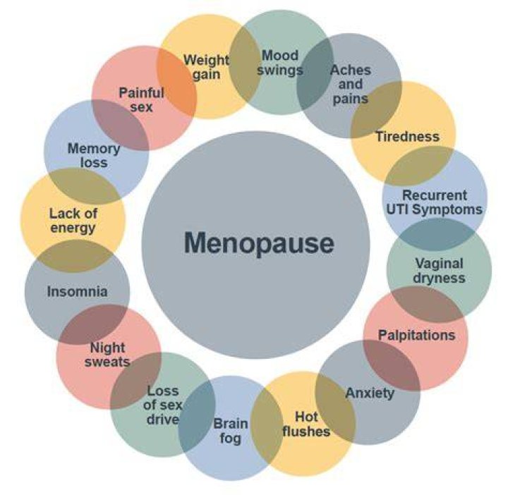 Shattering the silence about menopause: 12-month progress report