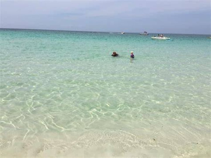 Shell Island Boats