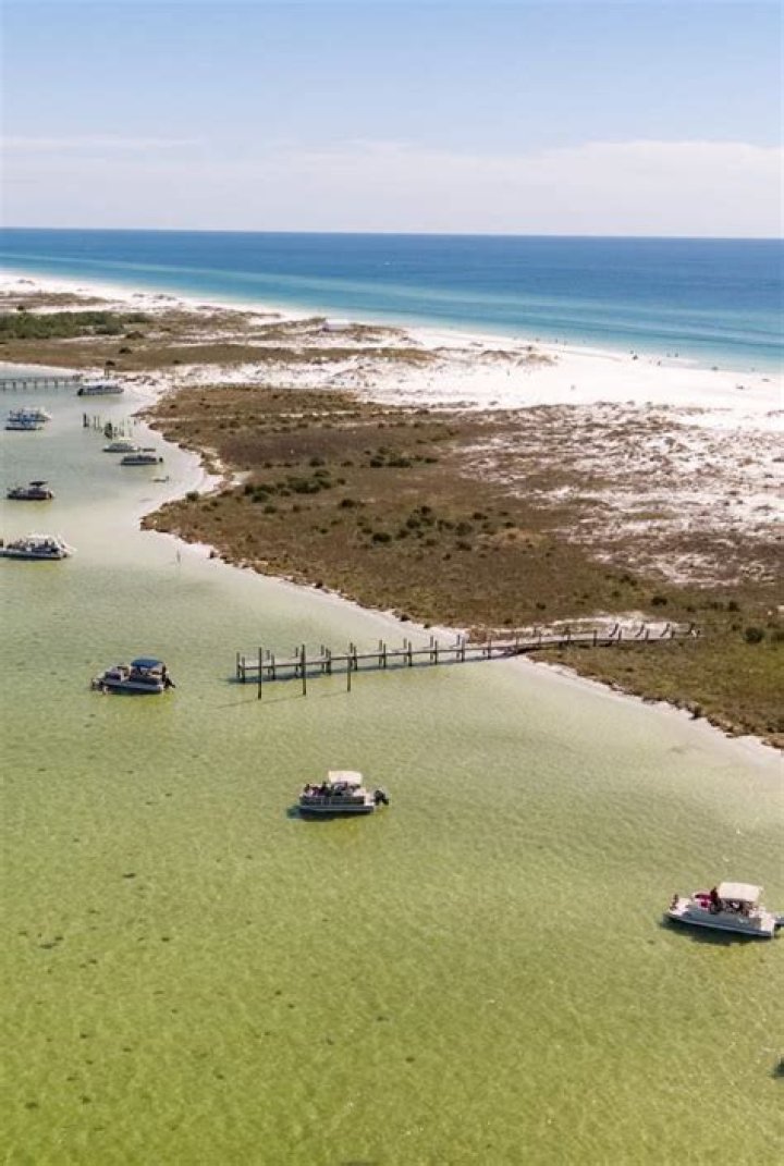 Shell Island Tours Panama City Beach Georgia